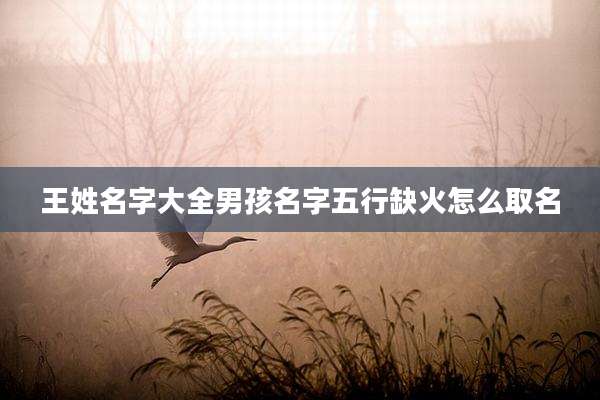 王姓名字大全男孩名字五行缺火怎么取名
