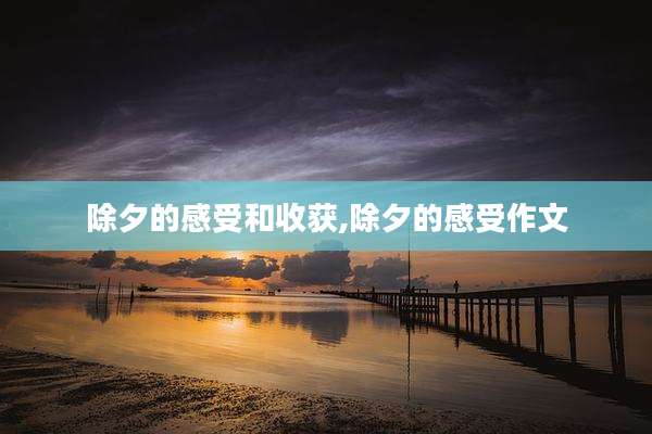 除夕的感受和收获,除夕的感受作文