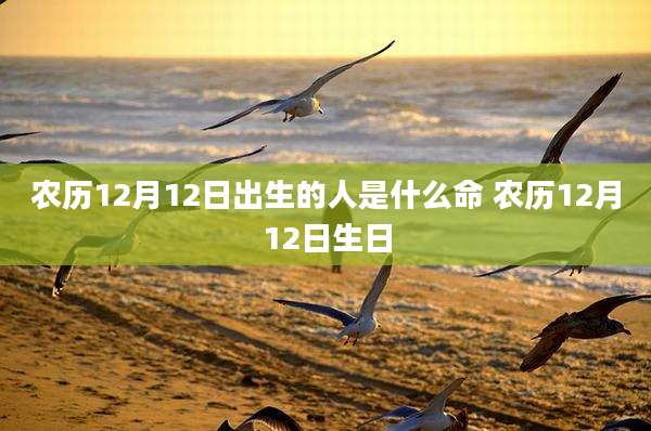 农历12月12日出生的人是什么命 农历12月12日生日