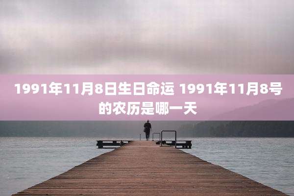 1991年11月8日生日命运 1991年11月8号的农历是哪一天