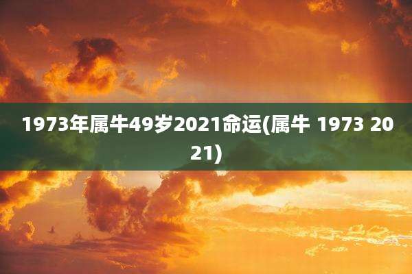 1973年属牛49岁2021命运(属牛 1973 2021)
