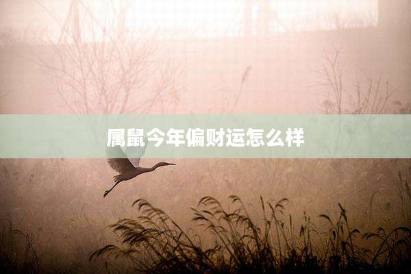 属鼠今年偏财运怎么样