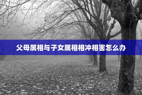 父母属相与子女属相相冲相害怎么办