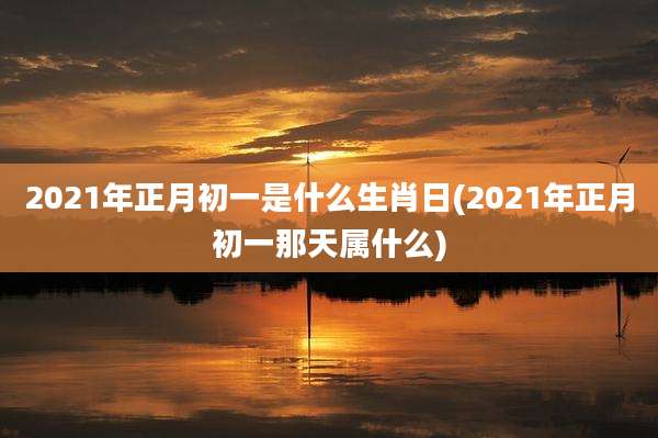 2021年正月初一是什么生肖日(2021年正月初一那天属什么)