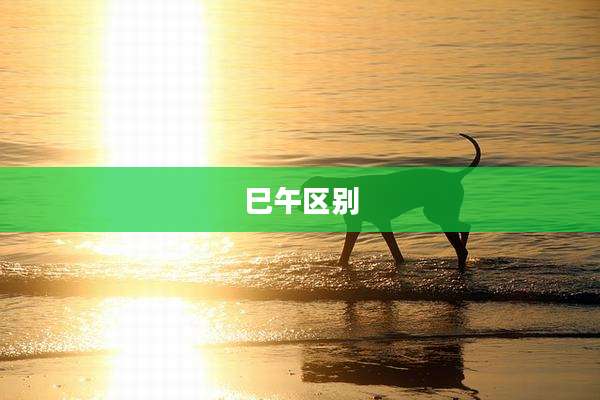 巳午区别