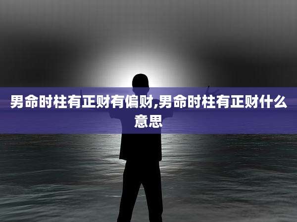男命时柱有正财有偏财,男命时柱有正财什么意思