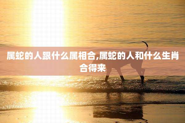 属蛇的人跟什么属相合,属蛇的人和什么生肖合得来