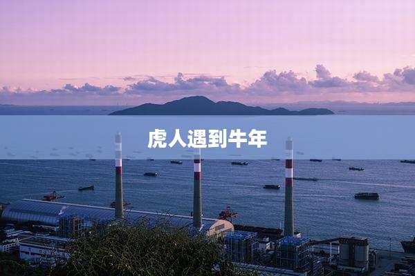 虎人遇到牛年