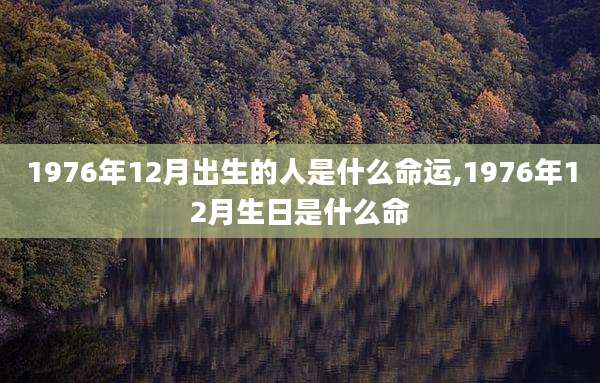 1976年12月出生的人是什么命运,1976年12月生日是什么命