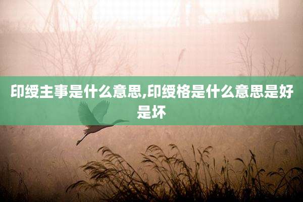 印绶主事是什么意思,印绶格是什么意思是好是坏