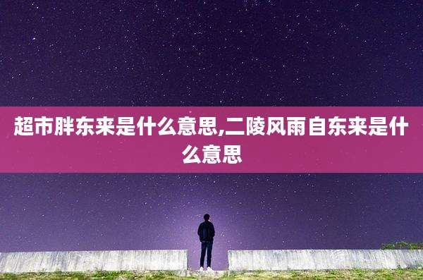 超市胖东来是什么意思,二陵风雨自东来是什么意思