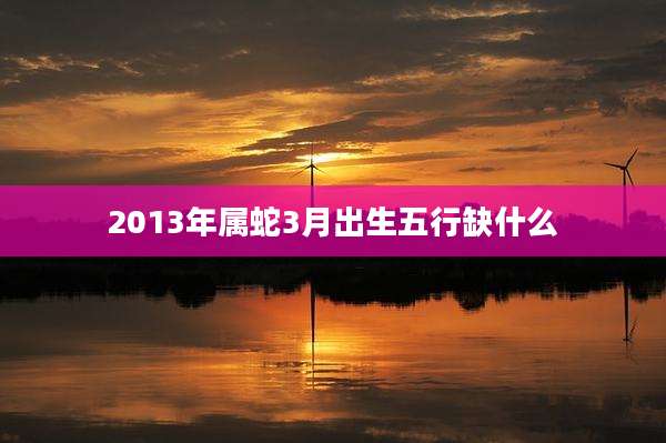 2013年属蛇3月出生五行缺什么