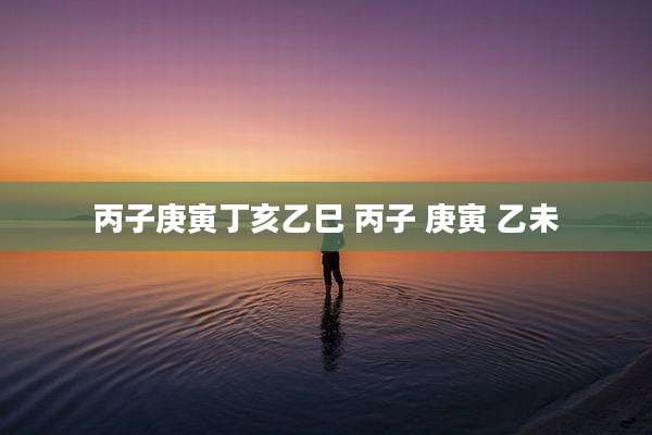 丙子庚寅丁亥乙巳 丙子 庚寅 乙未