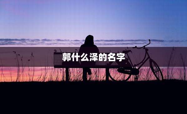 郭什么泽的名字
