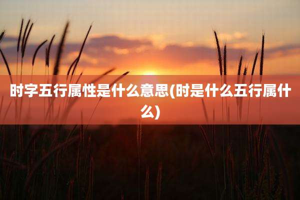 时字五行属性是什么意思(时是什么五行属什么)