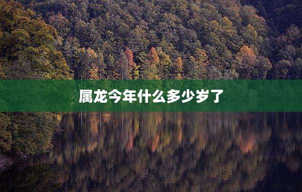 属龙今年什么多少岁了