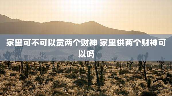 家里可不可以贡两个财神 家里供两个财神可以吗