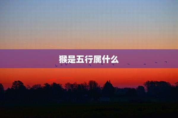 猴是五行属什么