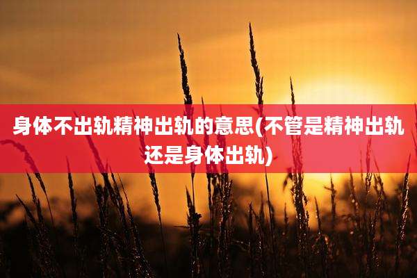 身体不出轨精神出轨的意思(不管是精神出轨还是身体出轨)