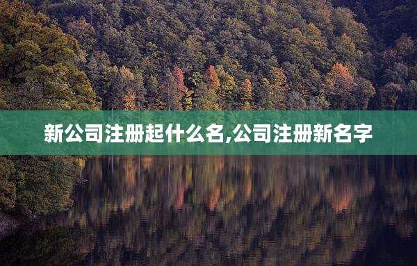 新公司注册起什么名,公司注册新名字