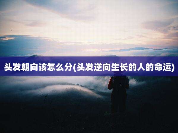 头发朝向该怎么分(头发逆向生长的人的命运)