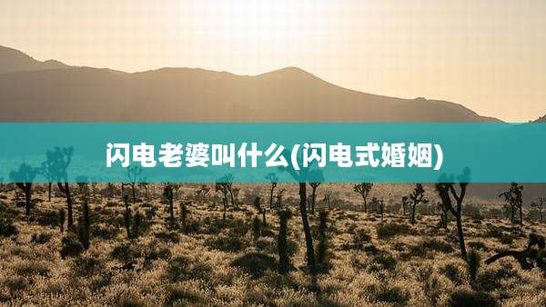 闪电老婆叫什么(闪电式婚姻)