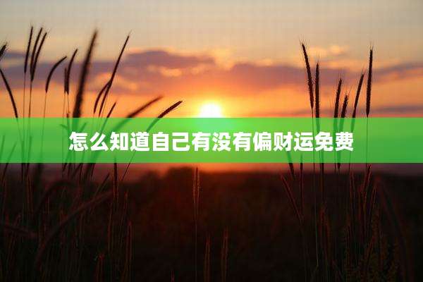 怎么知道自己有没有偏财运免费