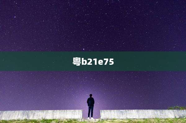 粤b21e75