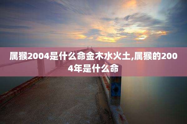 属猴2004是什么命金木水火土,属猴的2004年是什么命