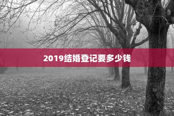 2019结婚登记要多少钱