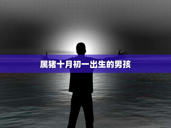 属猪十月初一出生的男孩