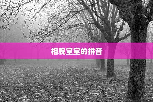 相貌堂堂的拼音