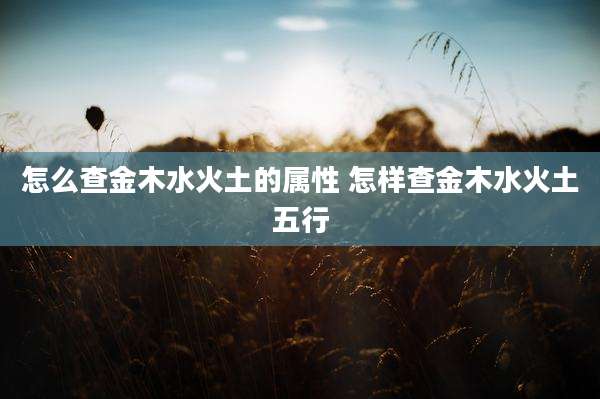 怎么查金木水火土的属性 怎样查金木水火土五行