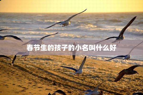 春节生的孩子的小名叫什么好