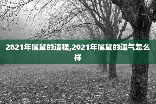2821年属鼠的运程,2021年属鼠的运气怎么样