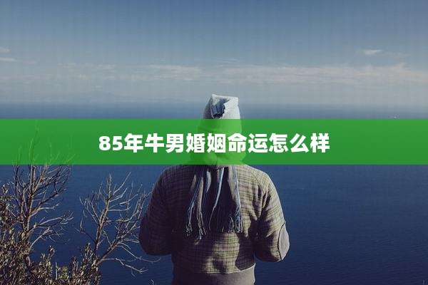 85年牛男婚姻命运怎么样