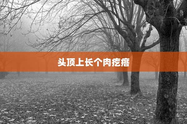 头顶上长个肉疙瘩
