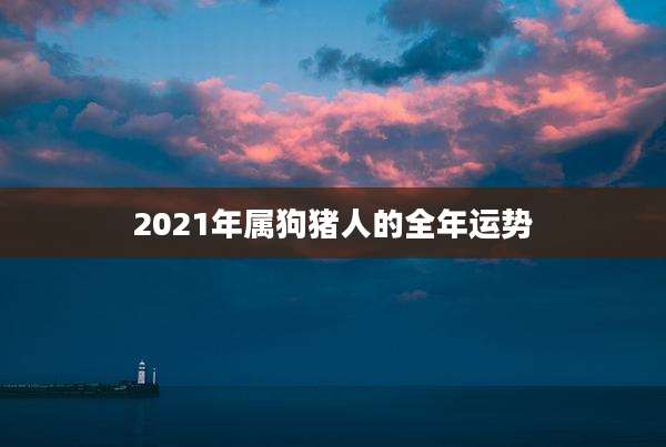 2021年属狗猪人的全年运势