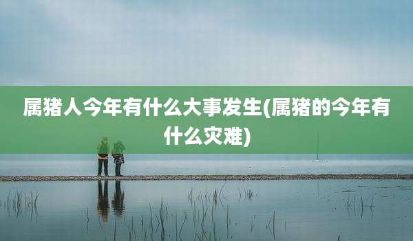 属猪人今年有什么大事发生(属猪的今年有什么灾难)