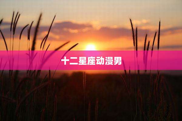 十二星座动漫男