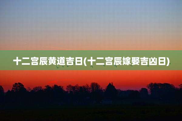 十二宫辰黄道吉日(十二宫辰嫁娶吉凶日)