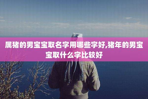 属猪的男宝宝取名字用哪些字好,猪年的男宝宝取什么字比较好