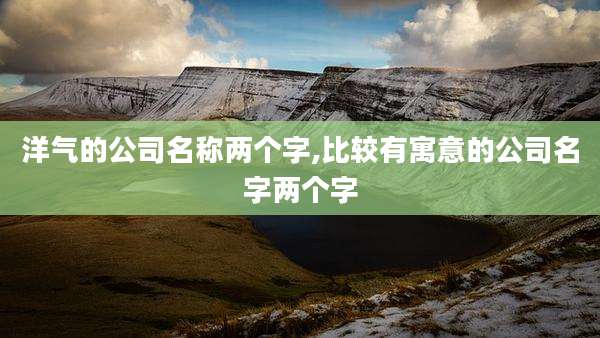 洋气的公司名称两个字,比较有寓意的公司名字两个字