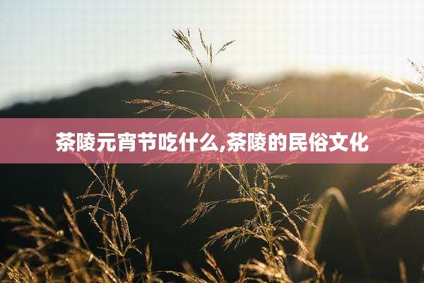 茶陵元宵节吃什么,茶陵的民俗文化