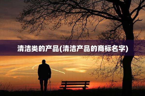 清洁类的产品(清洁产品的商标名字)