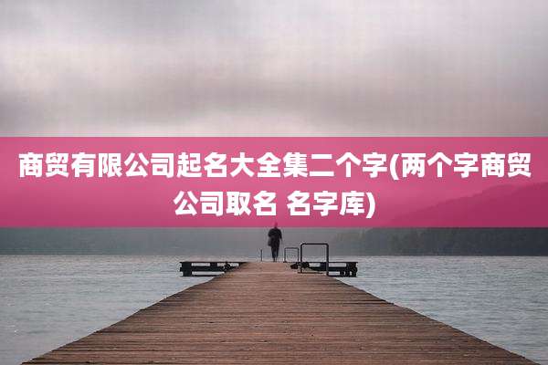 商贸有限公司起名大全集二个字(两个字商贸公司取名 名字库)