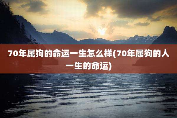 70年属狗的命运一生怎么样(70年属狗的人一生的命运)