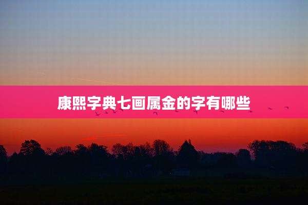 康熙字典七画属金的字有哪些