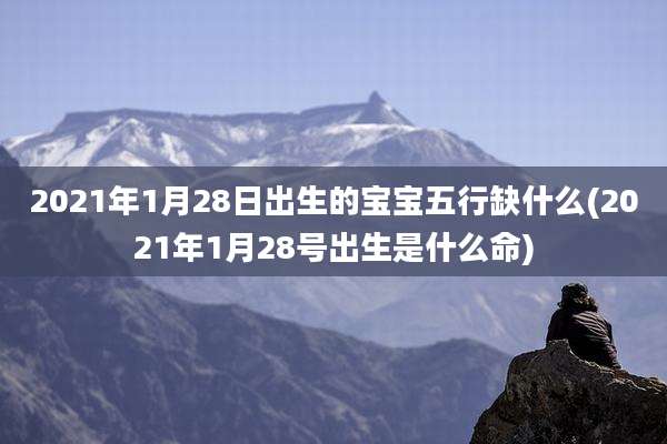2021年1月28日出生的宝宝五行缺什么(2021年1月28号出生是什么命)