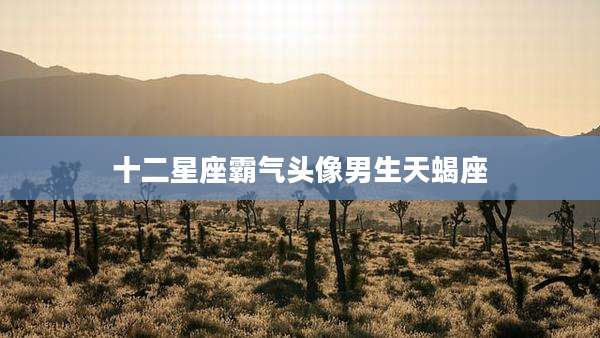十二星座霸气头像男生天蝎座